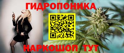 каннабис Кингисепп
