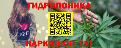 каннабис Кингисепп