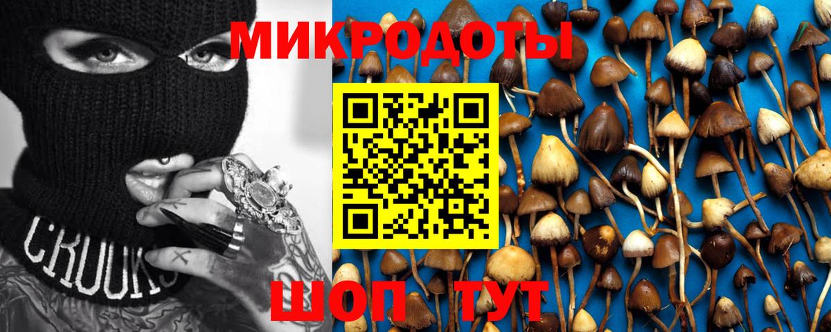хочу   Вход с VPN  Красноуфимск  Псилоцибиновые грибы GOLDEN TEACHER 